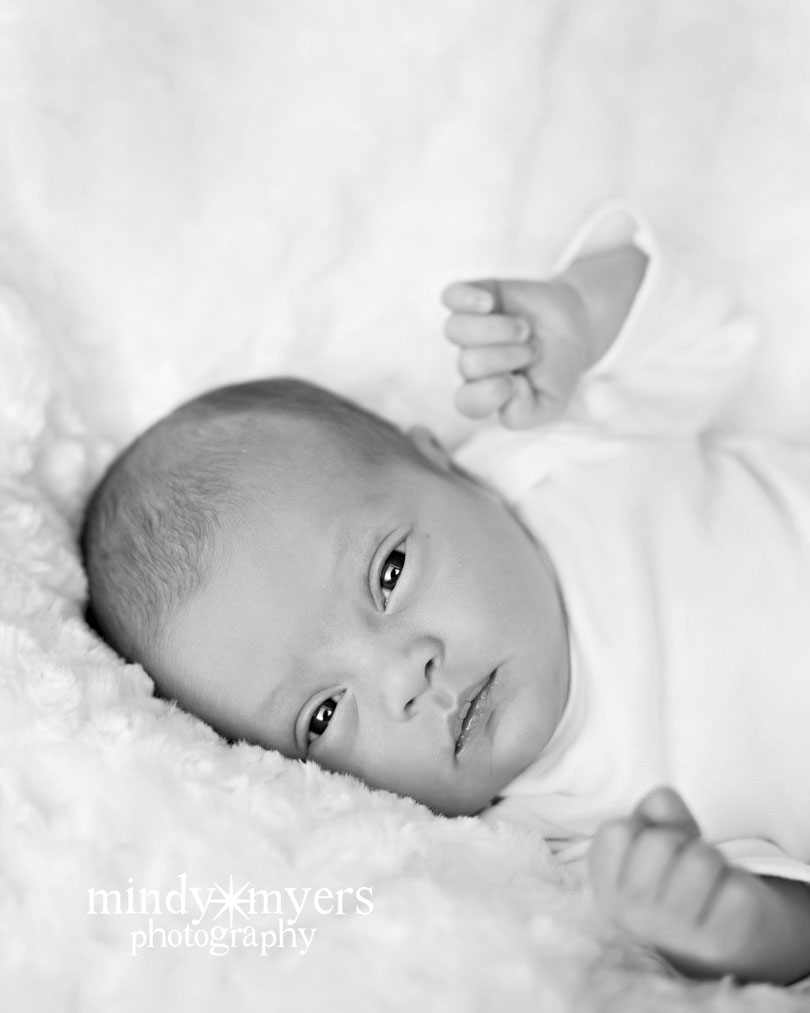 monroe00045b