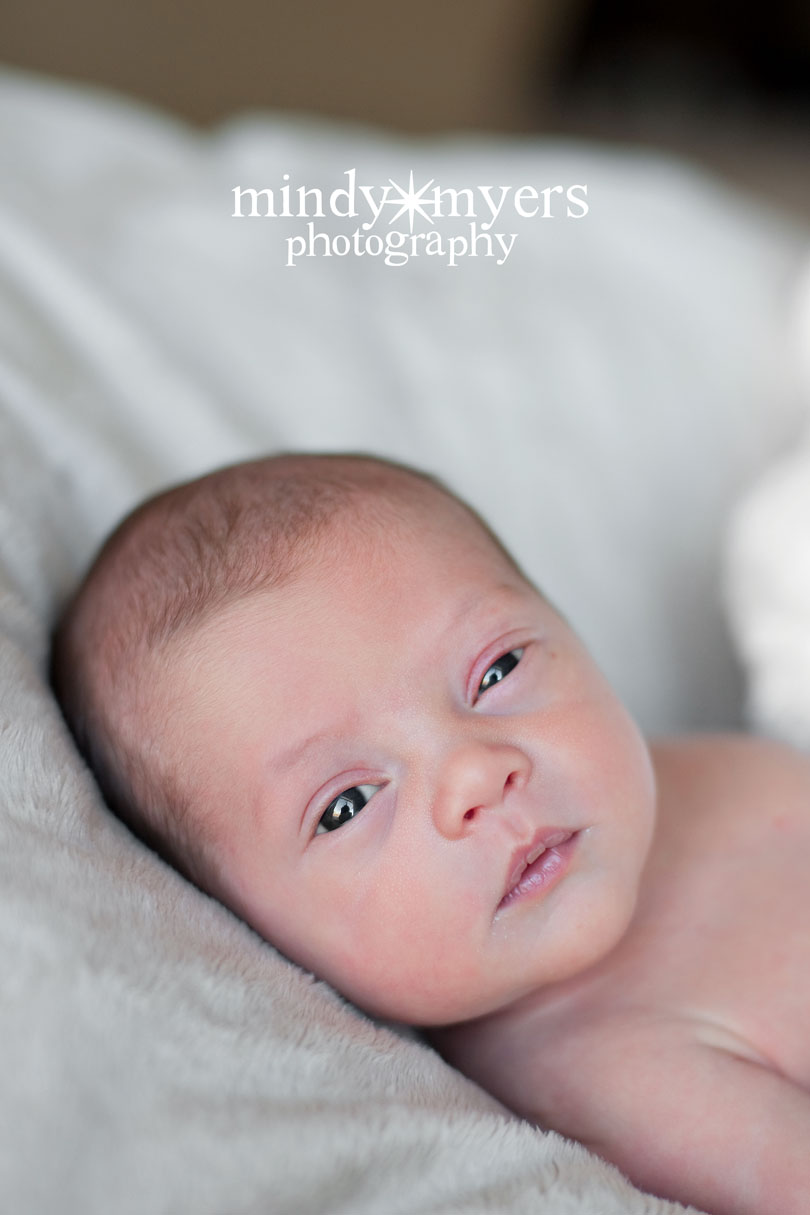 monroe00051b