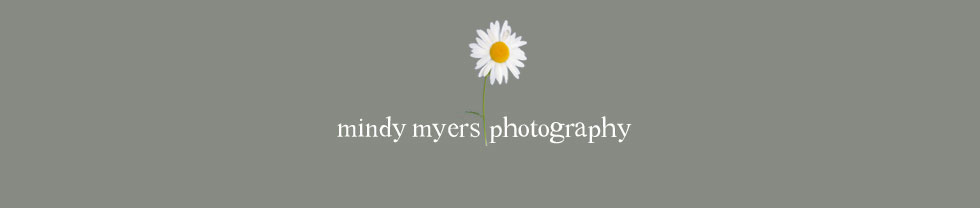 mindy myers photography logo